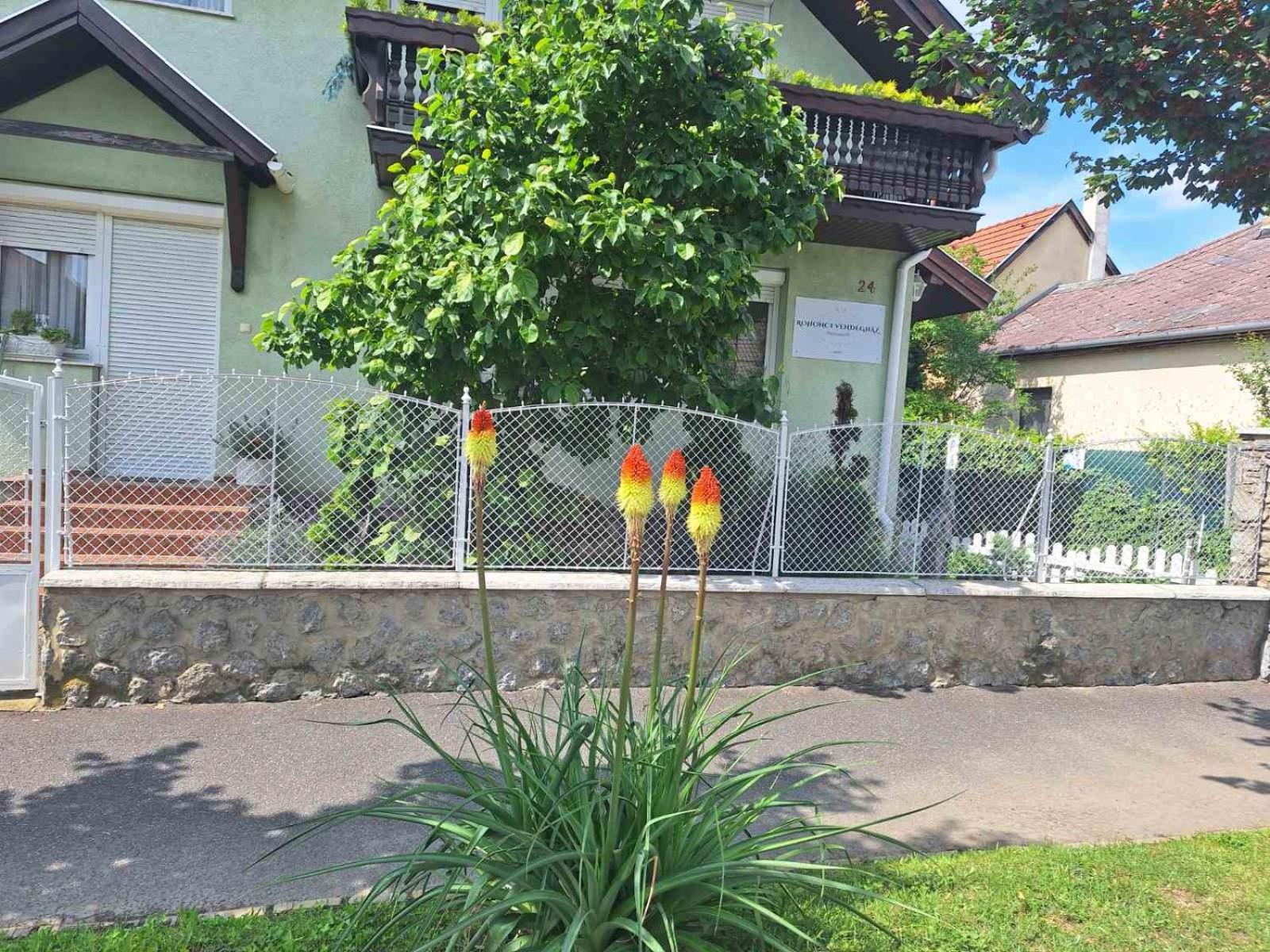 Rohonci Vendégház Kőszeg Exterior foto